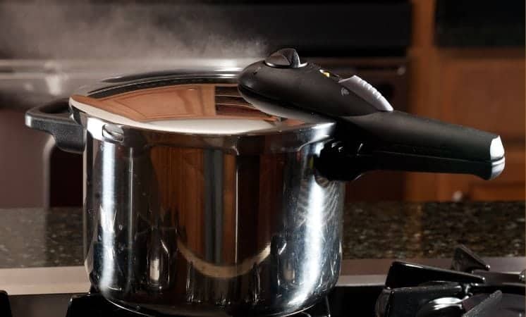 Why Does My Pressure Cooker Leak? – Kitchensnitches