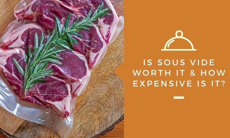 Is Sous Vide Worth It & How Expensive Is It?