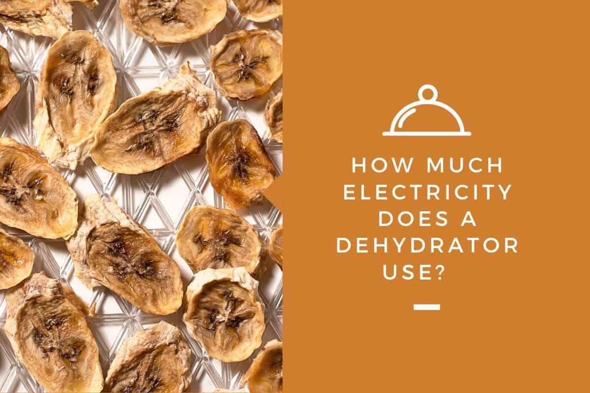 How Much Electricity Does a Dehydrator Use?