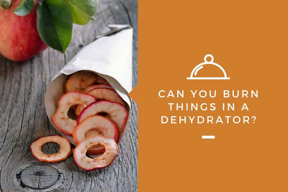 Can You Burn Things in a Dehydrator?