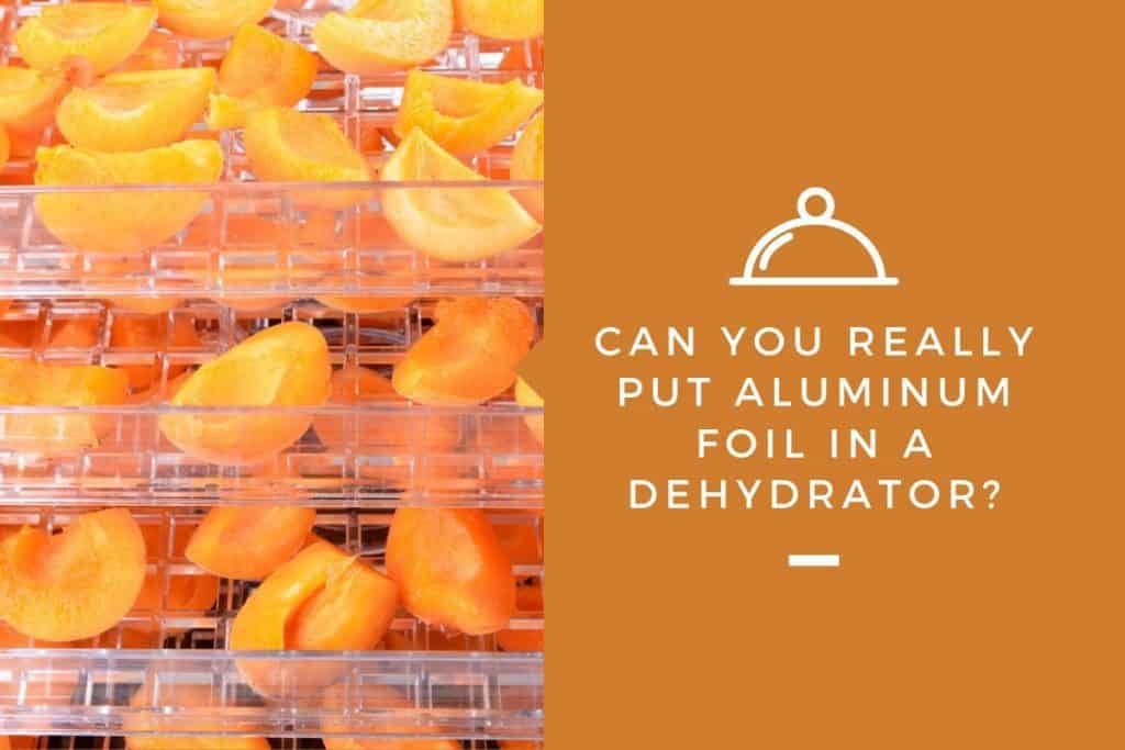 Can You Really Put Aluminum Foil in a Dehydrator? – Kitchensnitches