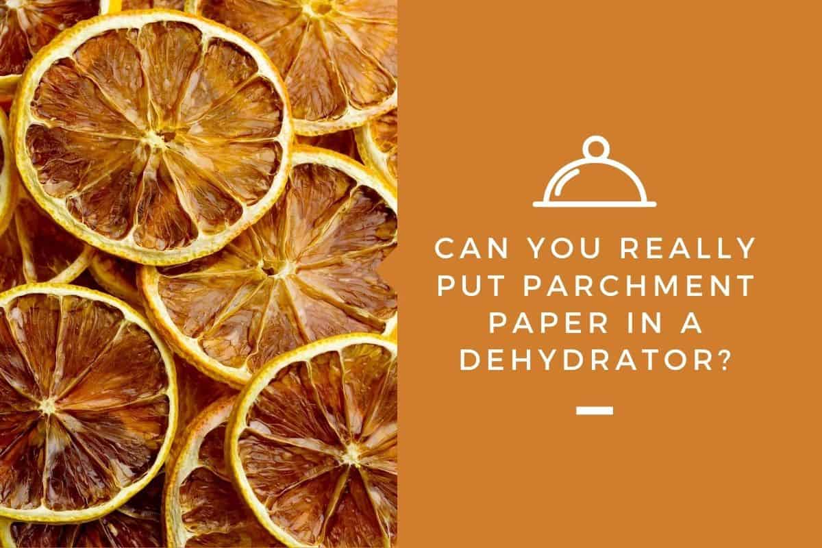 Can You Really Put Parchment Paper in a Dehydrator?