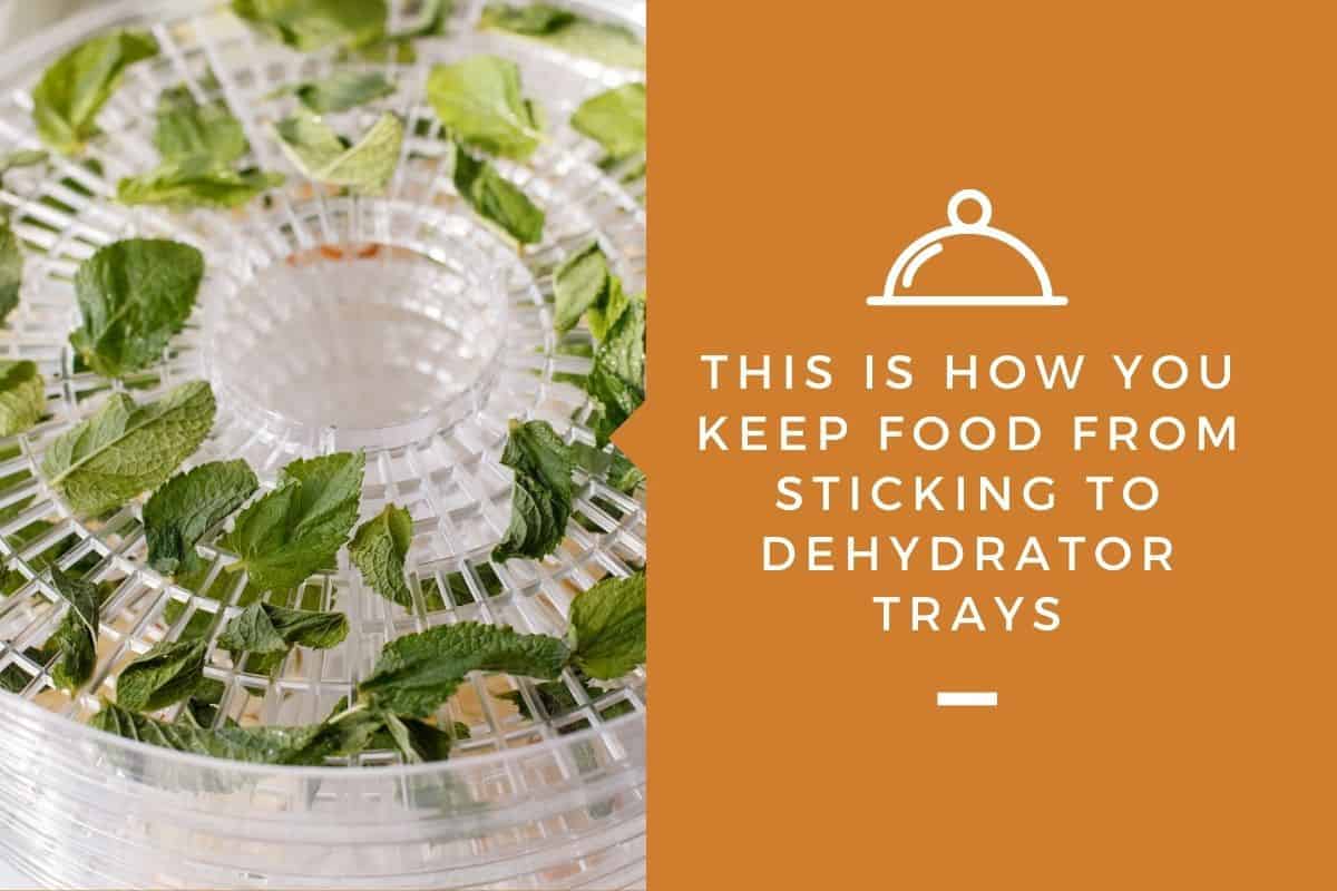 This Is How You Keep Food From Sticking To Dehydrator Trays