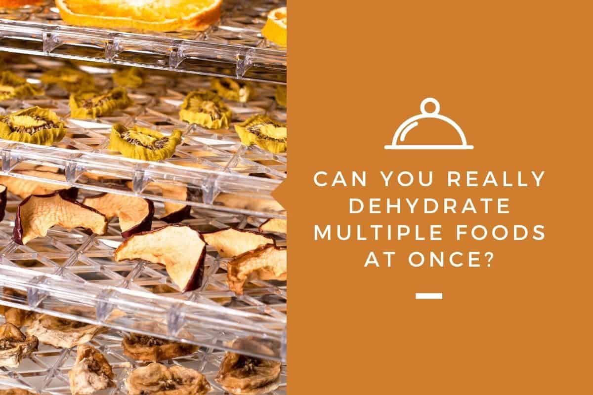 Can You Really Dehydrate Multiple Foods at Once?