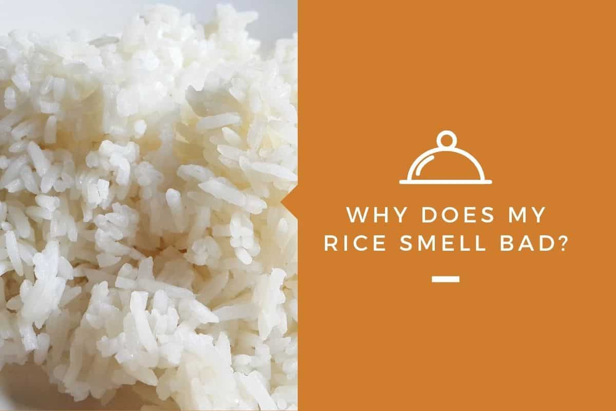 Why Does My Rice Smell Bad?