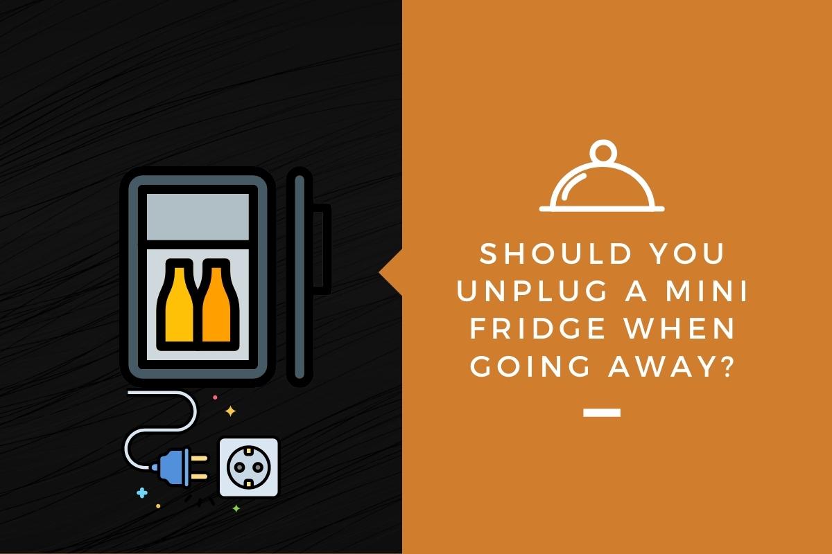 Should You Unplug a Mini Fridge When Going Away?