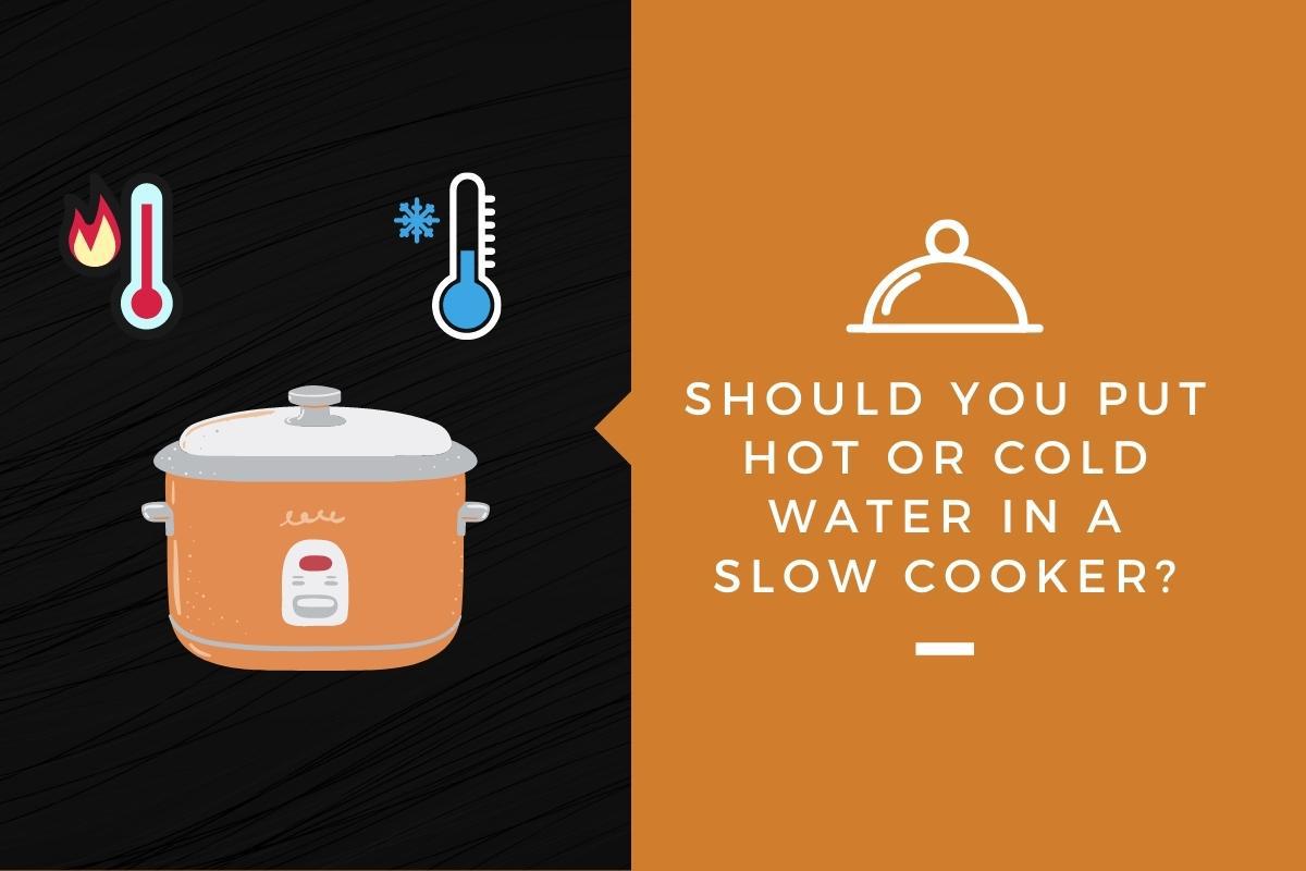 Should You Put Hot or Cold Water In a Slow Cooker? – Kitchensnitches