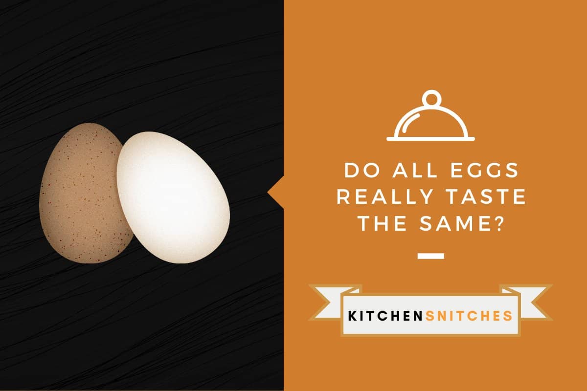 do-all-eggs-really-taste-the-same-kitchensnitches